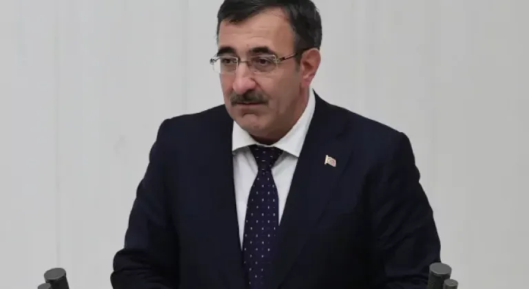 Cevdet Yılmaz: Yıllık Enflasyon Ağustosta Yüzde 31,51’e Geriledi
