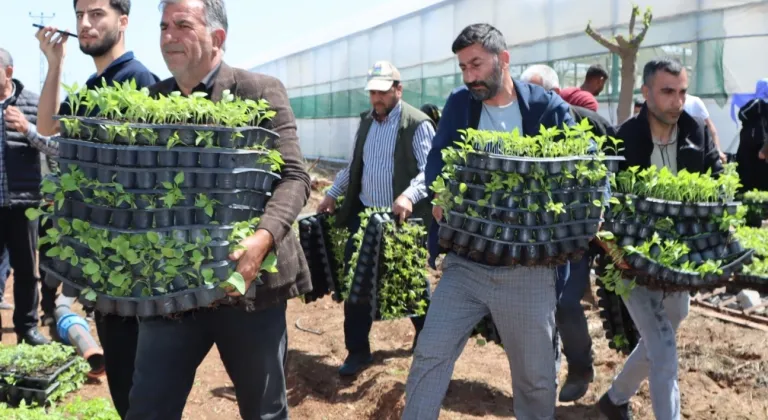 Çiftçiye 1 milyon fide desteği