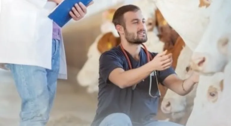 Denizli Büyükşehir’den üreticiye sahada destek