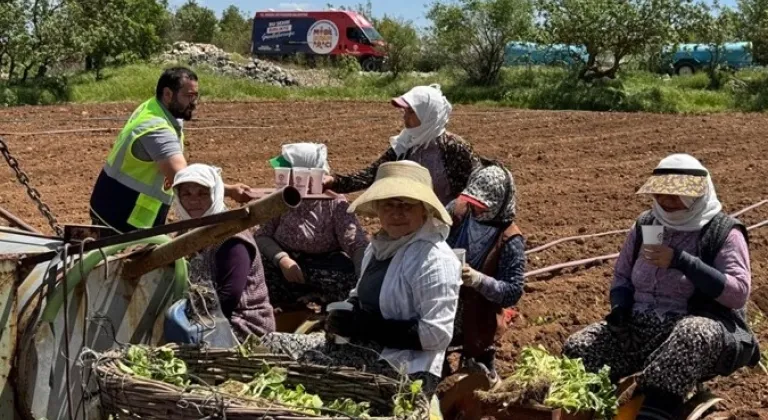 Denizli’de tarlalara ikram molası
