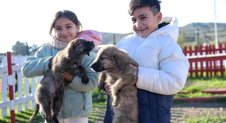 Doğa ve patili dostlar İzmir'de şifa dağıtıyor