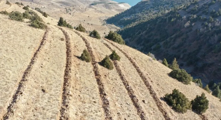 Doğu Anadolu’da yaklaşık 9 milyon fidan ve tohum toprakla buluşturuldu