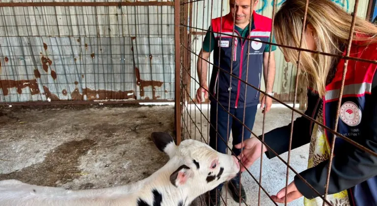 Edirne İpsala hayvancılığında kalite tescillendi