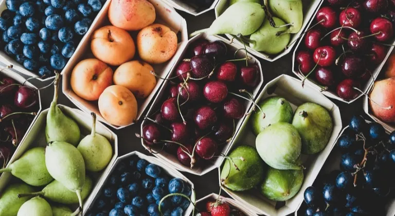 Egeli yaş meyve sebze ihracatçıları üç koldan sürdürülebilirlik atağında