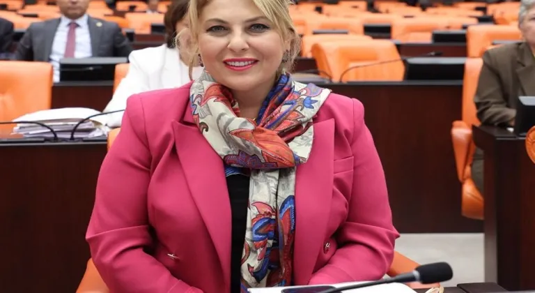 Elvan Işık Gezmiş; Emekli maaşı lütuf değil