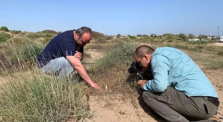 Endemik türü koparmanın cezası 699 bin lirayı aşıyor