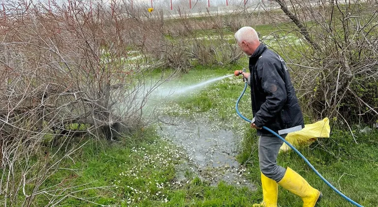 Enez'de larva ilaçlaması başladı