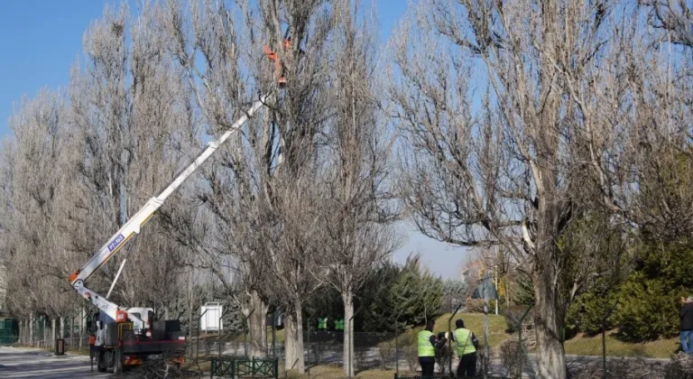 Eskişehir Sazova Parkı’nda çalışmalar devam ediyor