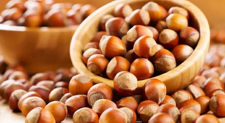 Fındık fiyatları tepetaklak gidiyor