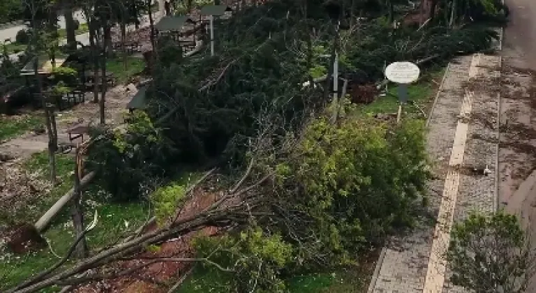 Gaziantep'e 50 milyon TL aktarıldı