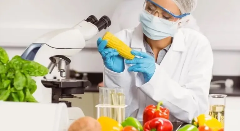 Gıdalarda Mikotoksin Kontrolleri İçin Yeni AB Uyumlu Kriterler Açıklandı








