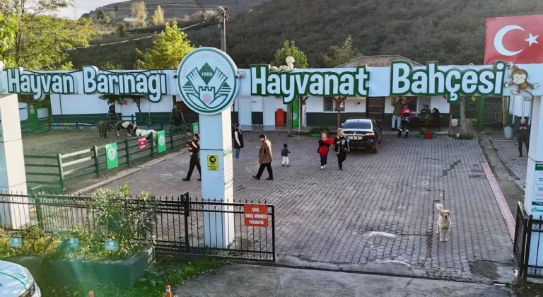 Giresun Belediyesi hayvan barınağı örnek çalışmaları