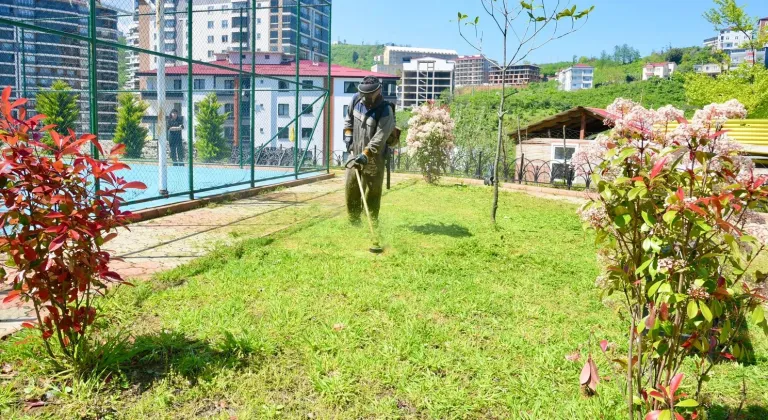 Giresun'da yaz mesaisine hız verildi