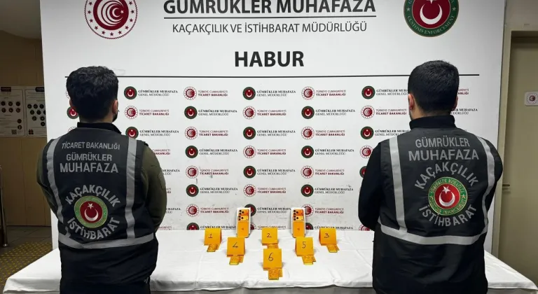 Habur Gümrük Kapısı’nda 41 kilogram altın ele geçirildi