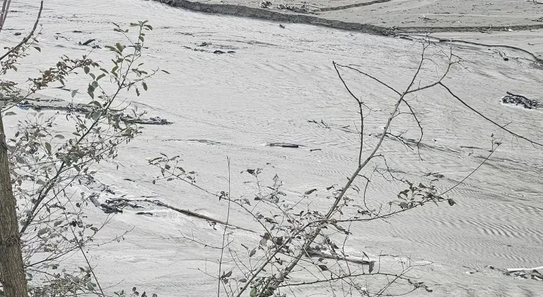 Harşit Çayı'nda tehlike çanları çalıyor