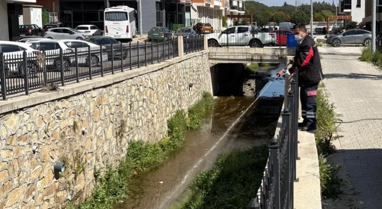 Haşereye karşı larvasit çözüm