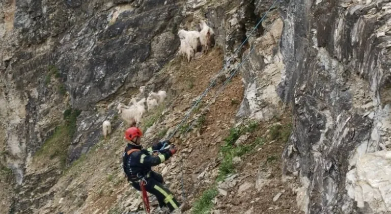 Her can Kocaeli İtfaiyesi’ne emanet