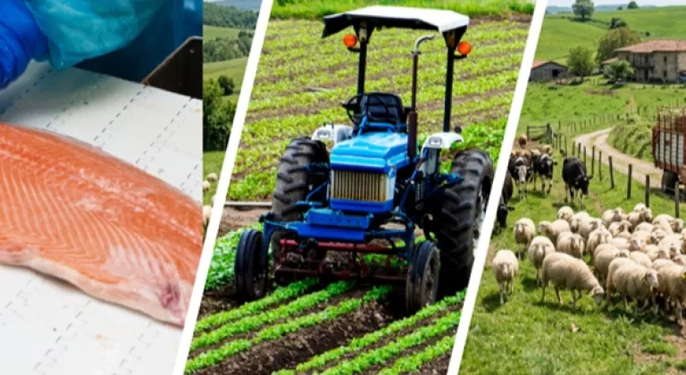 IPARD III’te yeni takvim açıklandı... Kırsala 241 milyon avroluk dev hibe