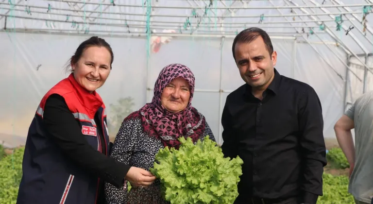 İpsala Esetçe’de 'Meryem Teyze' örneği... Yüzde 75 hibeli serada verimlilik artıyor