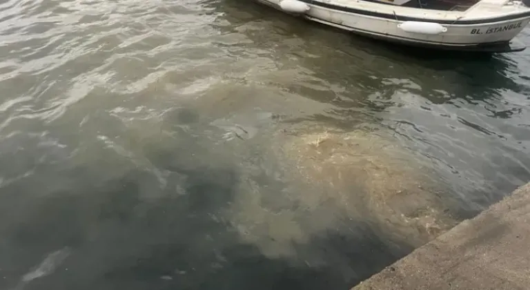 İSKİ’ye Çevre Bakanlığı’ndan İki Kat Ceza!







