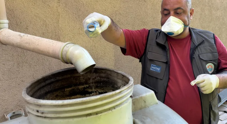 İstanbul Maltepe’de sivrisinek mücadelesi erken başladı