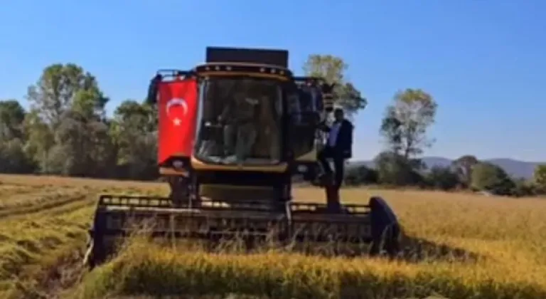 İstanbul Üreticilerine Tohum ve Fide Desteği