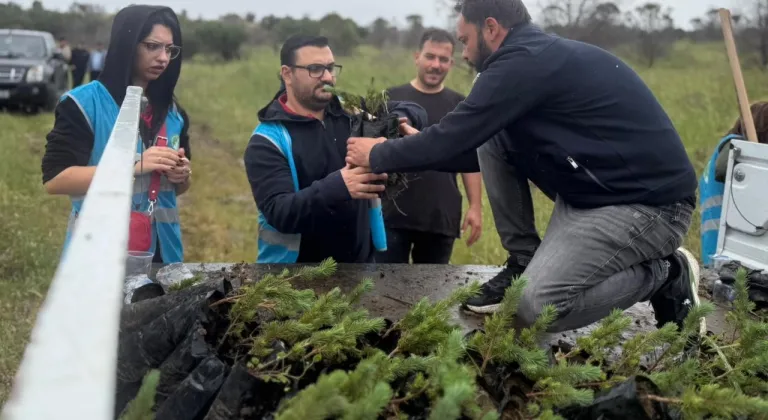 İzmir Aliağa’da yangınların yarası bin fıstık çamıyla sarıldı