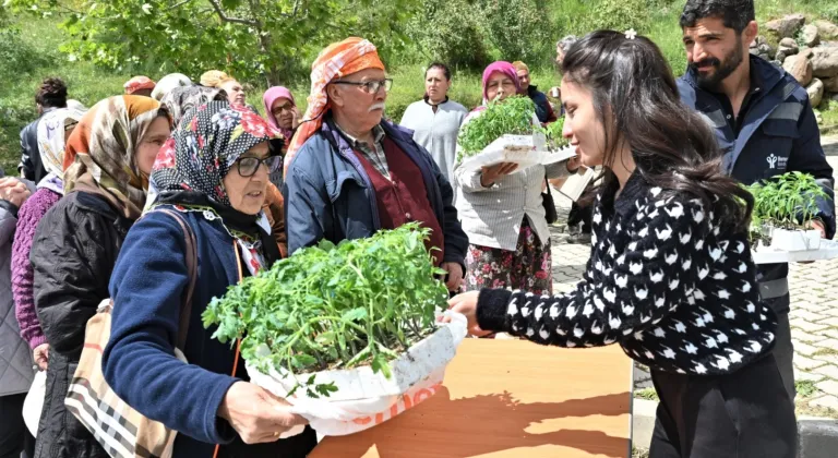 İzmir Bornova'da 150 bin yazlık sebze fidesi dağıtıldı