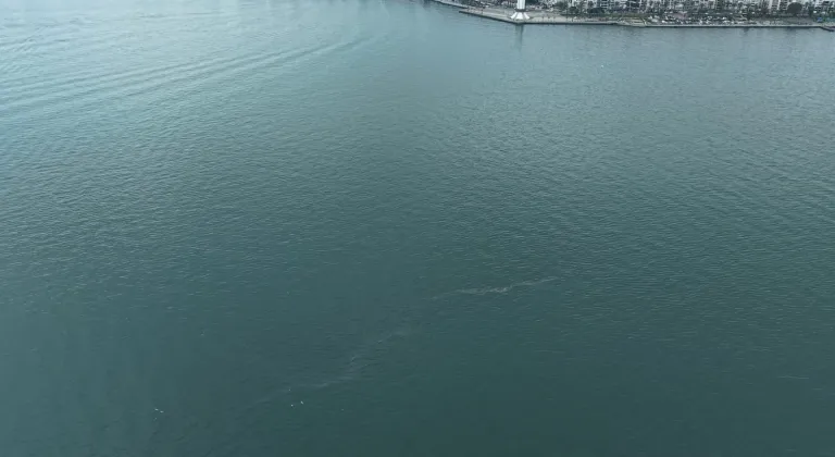 İzmir Körfezi’nde dış kaynaklı kirliliğin önüne geçilemiyor