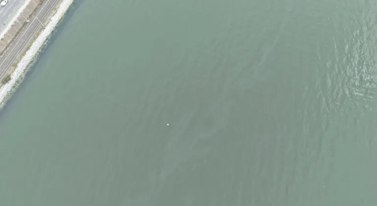 İzmir Körfezi’nde kirlilik endişelendiriyor! Aynı tehdit 11. kez görüldü