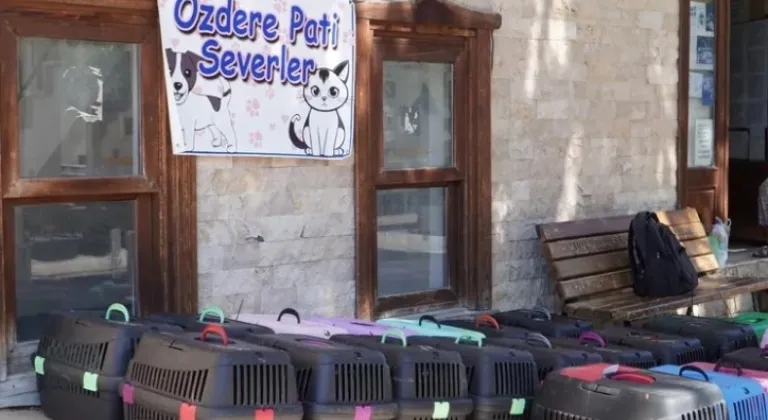 İzmir’de 7 Bin Kedi Mobil Kısırlaştırmayla Kontrol Altında