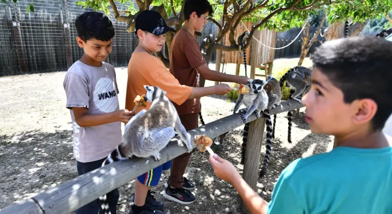 İzmir'de Doğal Yaşam Parkı öğrencilere ücretsiz olacak