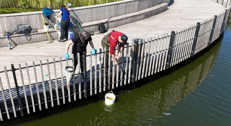 İzmit Millet Bahçesi’nde su göletine bilimsel çalışma