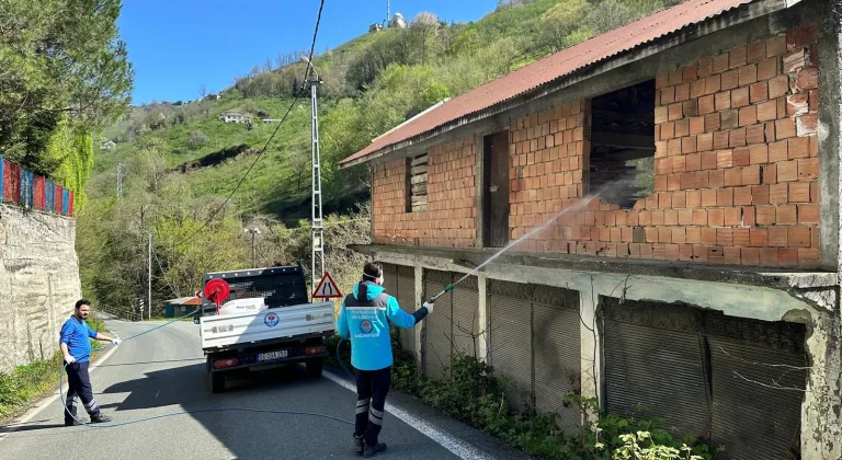 Kahverengi kokarcaya karşı Trabzon’da seferberlik