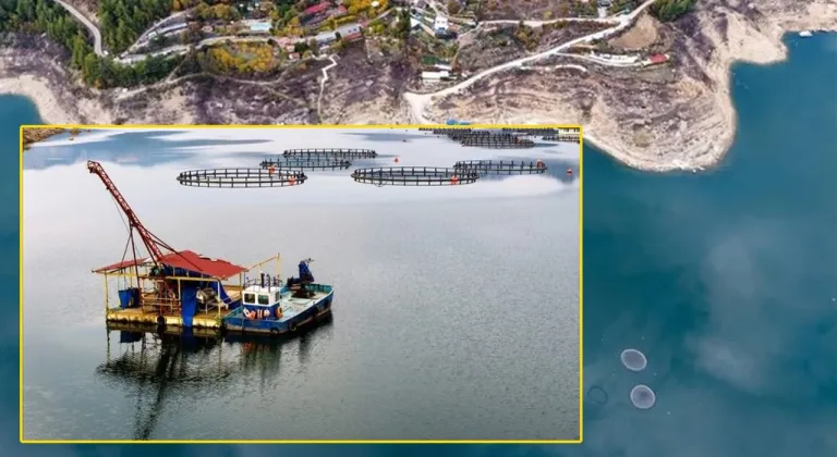 Karacaören Barajı’nda balıkçılık canlanıyor