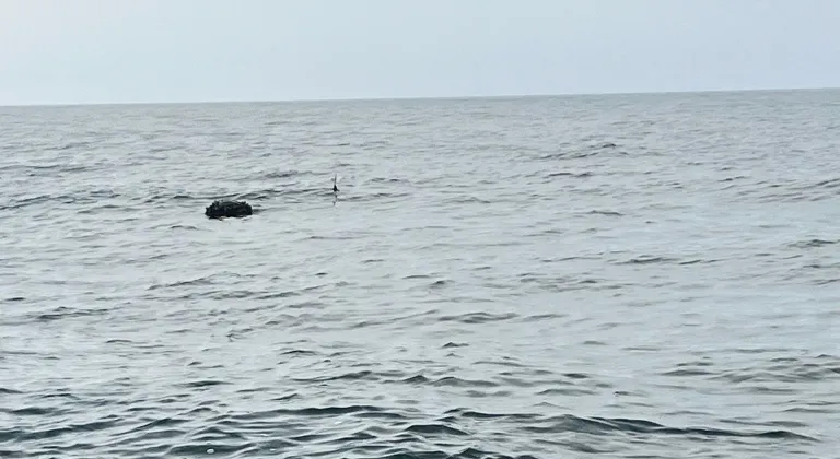 Karadeniz’deki şüpheli mayın SAS timlerince imha edildi!