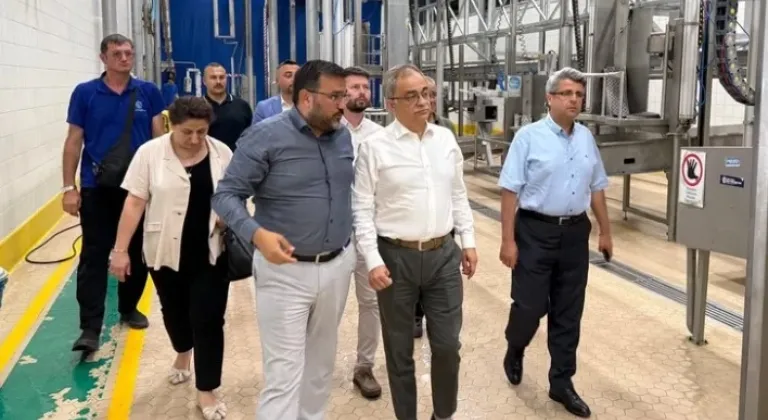 Karamürsel’de Projeler Yakından Takip Ediliyor









