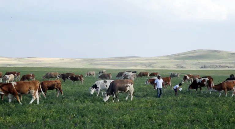 Kars Ani'de meralar yasaklandı mı? Açıklama geldi