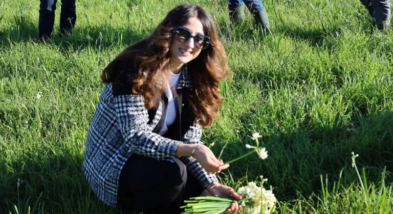 Kaymakam Kızılkaya, üreticilerle nergis hasadına katıldı