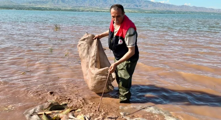 Keban Baraj Gölü’nde 700 kilo canlı sazan kurtarıldı!