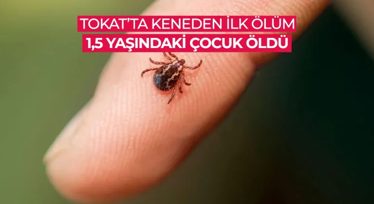 Kene ısıran 1,5 yaşındaki Metehan öldü