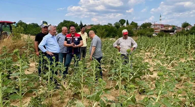 Keşan’da Fırtına ve Yağış Tarımı Vurdu: Hasar Tespiti Yapıldı