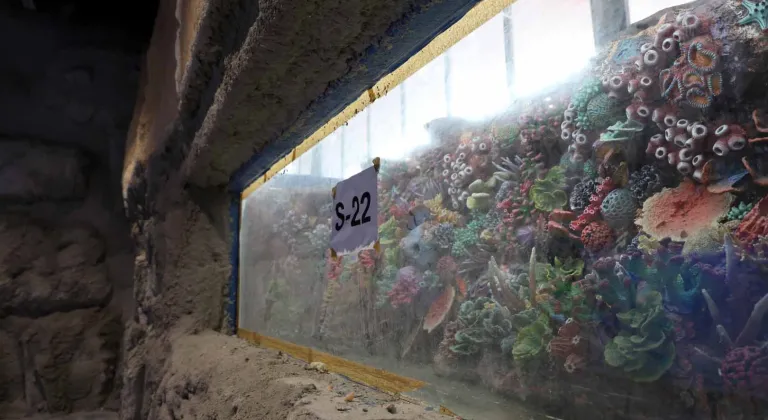 Kocaeli 'akvaryum' için geri sayım başladı... 30 farklı akvaryum eşsiz gezi yaşatacak