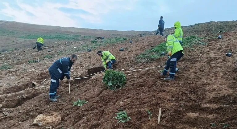 Kocaeli Gebze'de Büyükşehir’le yeşile dokunuş