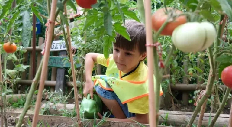 Kocaeli Lokomotif Çocuk Köyü’nde Bereketli Hasat Sevinci

