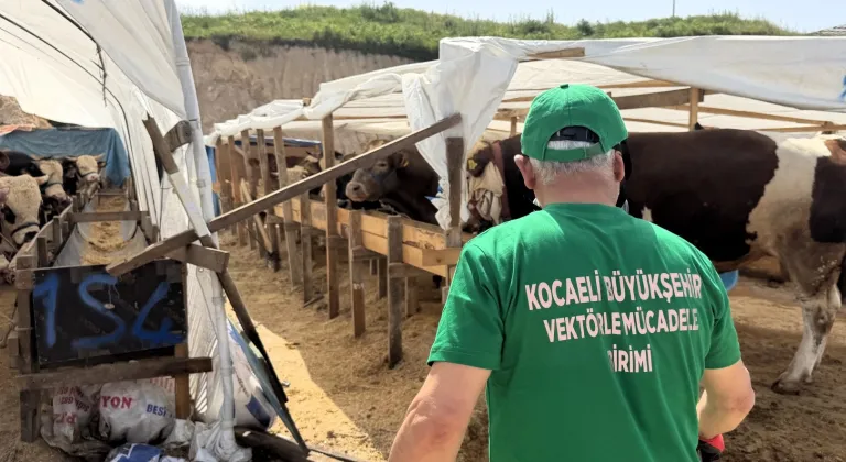 Kocaeli'de 4 ilçede kurban pazarları ilaçlanıyor