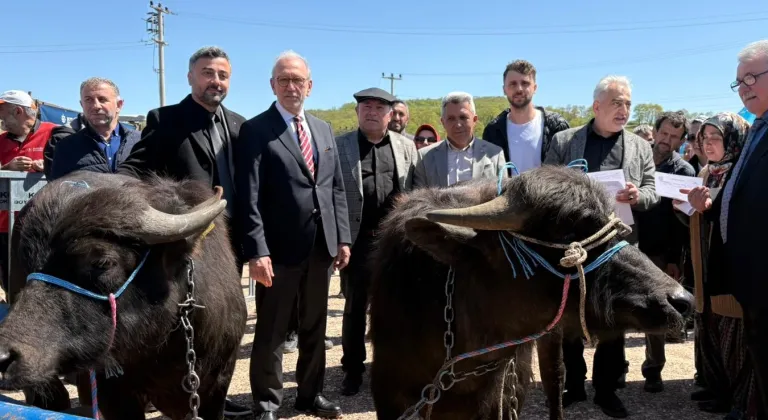 Kocaeli’de damızlık mandalar üreticilere teslim edildi