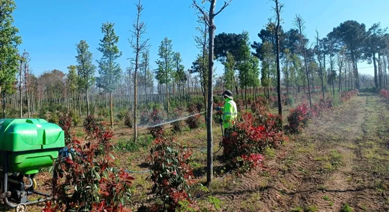 Kocaeli'de fidanlara koruyucu müdahale