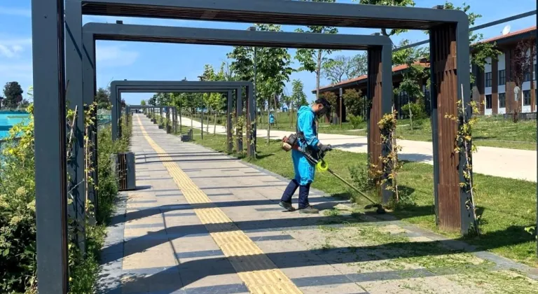 Kocaeli'de Gebze Millet Bahçesi yaza hazırlanıyor