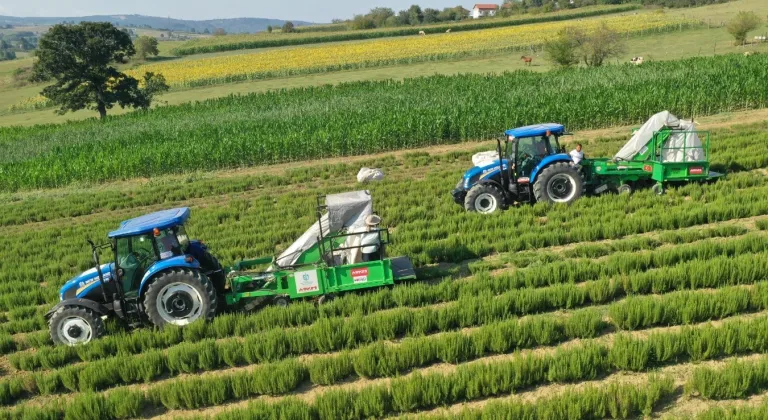 Kocaeli'de kırsal üretimde Büyükşehir’in izi var